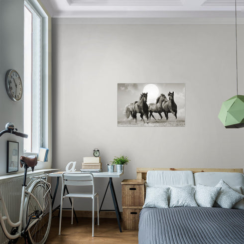 Wandbilder Wohnzimmer XXL Pferde Moderne Bilder Tiere